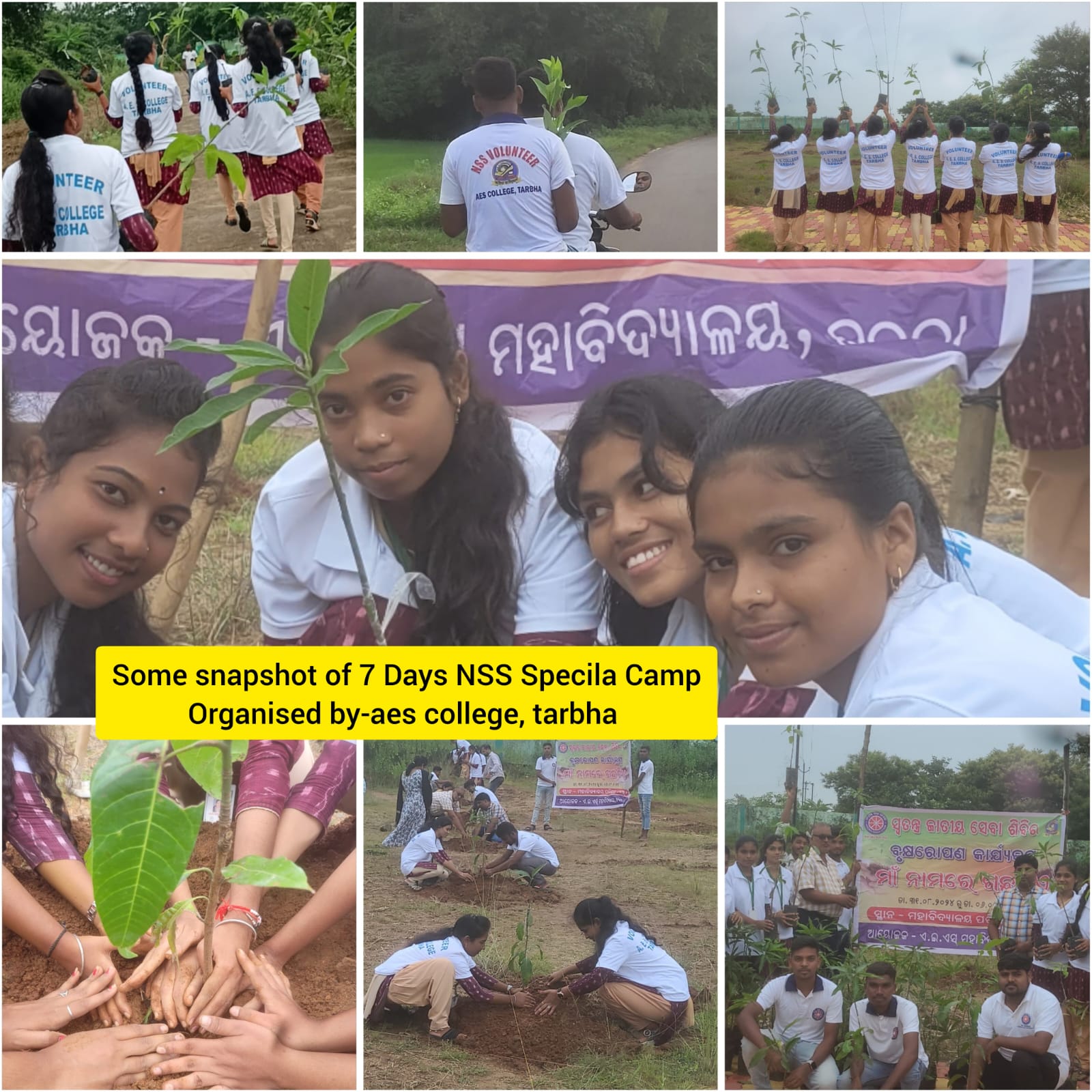 Plantation Programme By NSS
